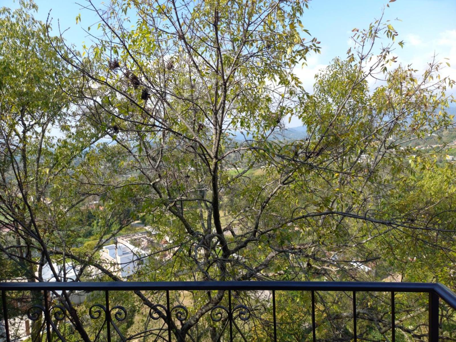 Solache Inn Zitácuaro Kültér fotó