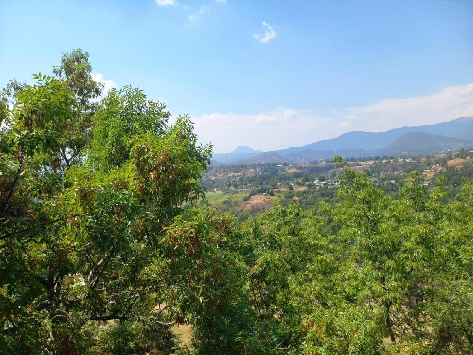 Solache Inn Zitácuaro Szoba fotó